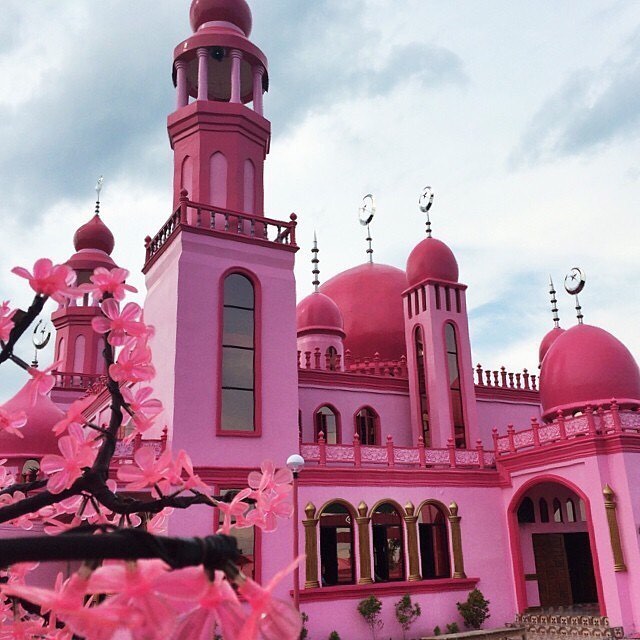 Nomad en rose